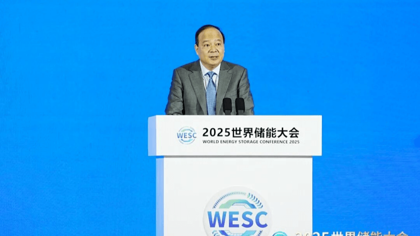 Energy Storage Industry Risks: Is Rapid Growth Sacrificing Quality?